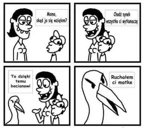 Bocian i brutalna prawda
