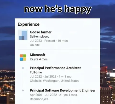 Goose Farmer LinkedIn Promotion