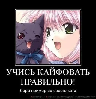 Учись кайфовать правильно