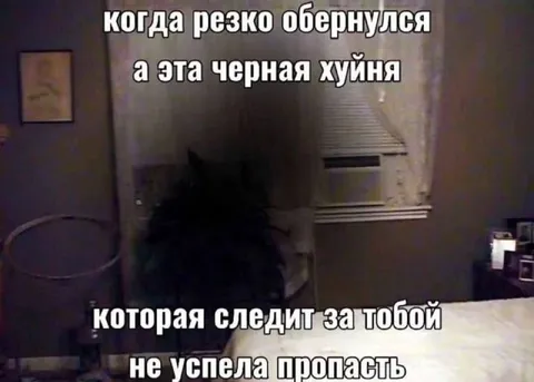 Чёрная тень следит за тобой