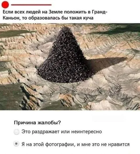 Жалоба на фотографию из муравьёв
