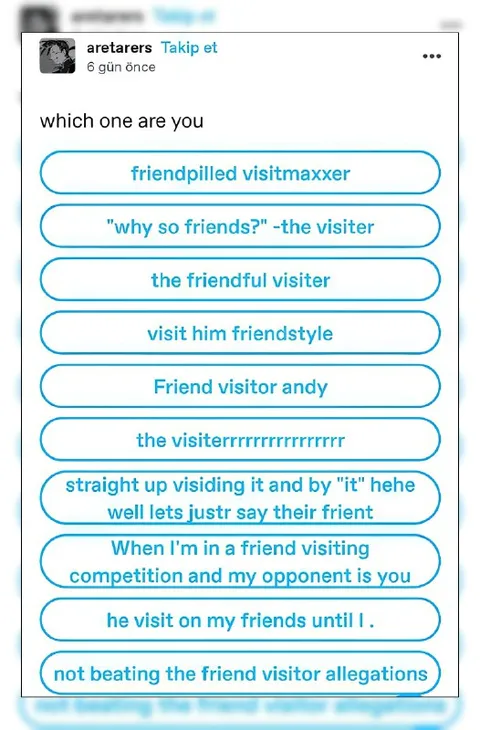 Friend Visitor Allegations Poll