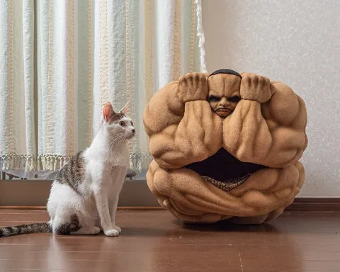 Кот рядом с мышечным комком