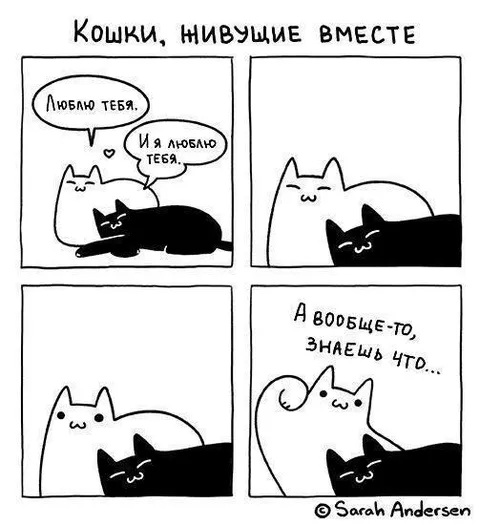 Кошки, живущие вместе