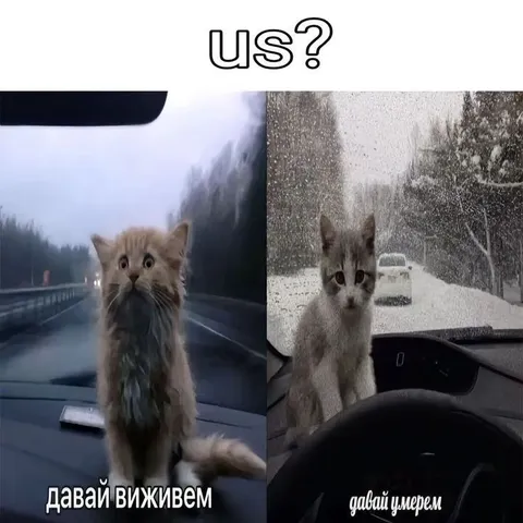 Давай выживем или умрем