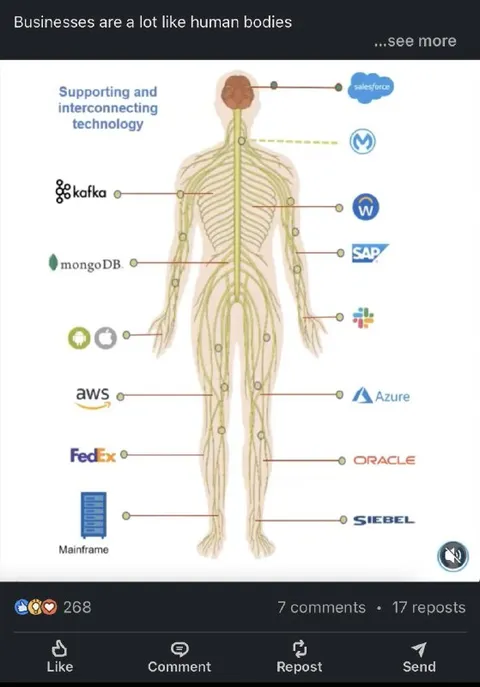 Businesses Are Human Bodies
