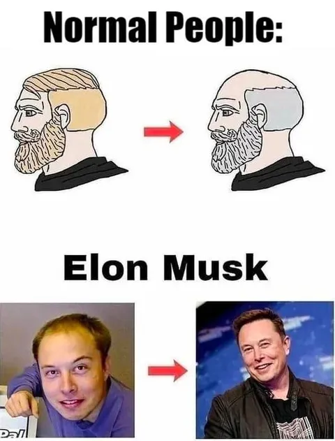 Normal People vs Elon Musk