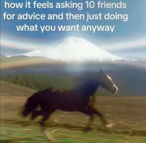 Asking Friends Then Ignoring Advice