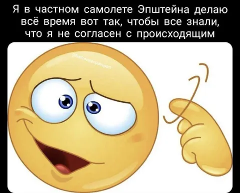 Несогласный жест в самолёте Эпштейна