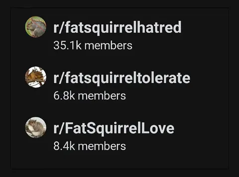Fat Squirrel Subreddit Spectrum