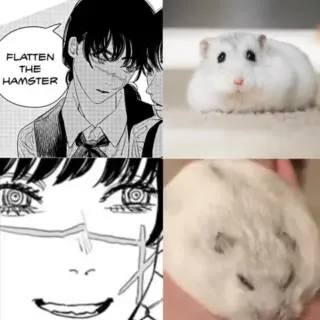 Flatten the Hamster