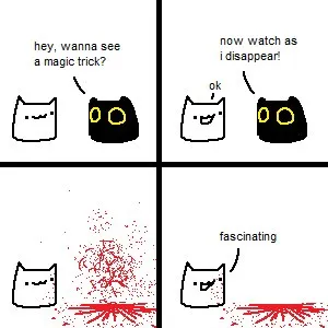 Cat Disappears in a Magic Trick
