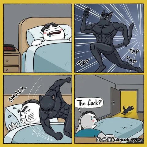 Muscular Cat Wakes You Up