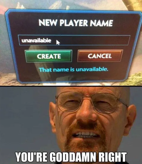 You're Goddamn Right Name Meme
