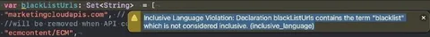 Blacklist Inclusive Language Warning