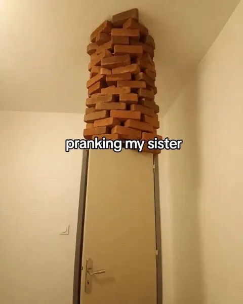 Pranking My Sister with Bricks