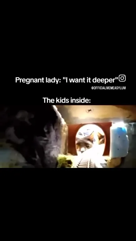 Pregnant Lady Wants It Deeper