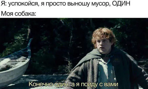 Собака идёт вместе с хозяином