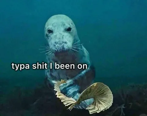 Typa Shit I Been On Seal