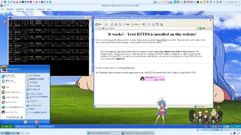 It Works Tewi HTTPd Installed