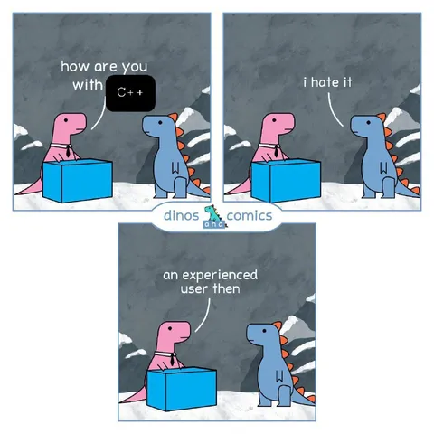 Experienced C++ User Hates It