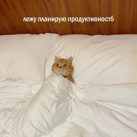 Лежу и планирую продуктивность