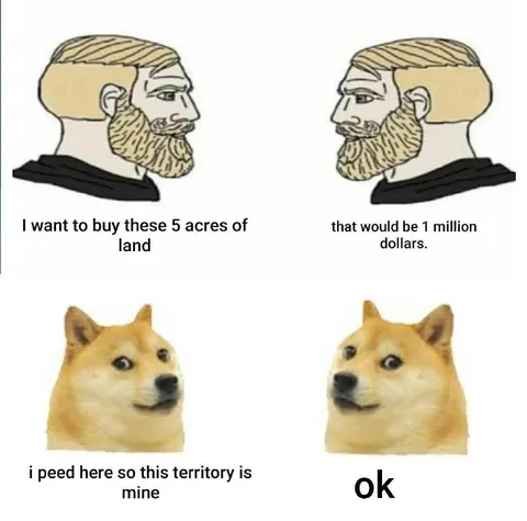 Doge Claims the Territory