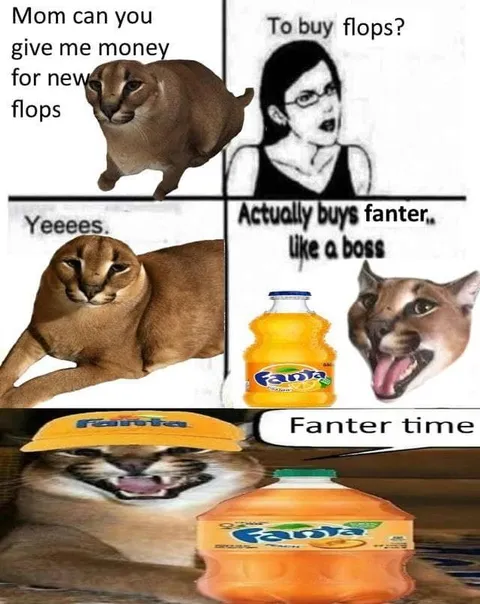 Cat Buys Fanta Instead of Flip-Flops
