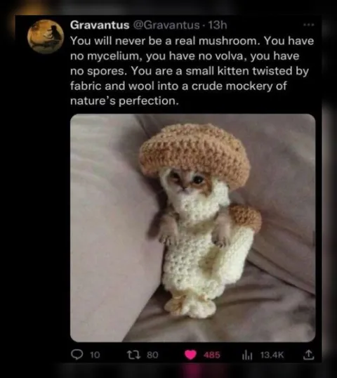 You Will Never Be a Real Mushroom