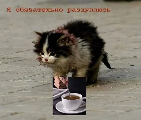 Я обязательно раздуюсь