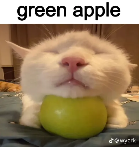 Cat Holding a Green Apple