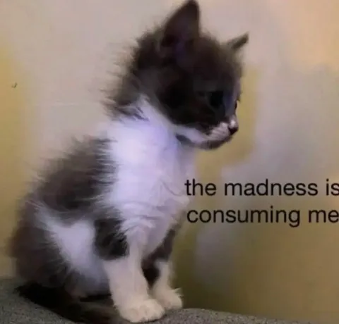 The Madness Is Consuming Me
