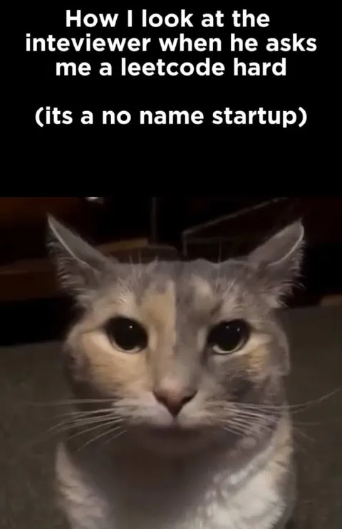 Cat Asked a LeetCode Hard