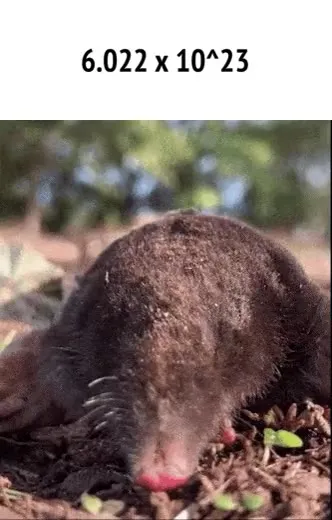 Mole Working at Avogadro’s Number