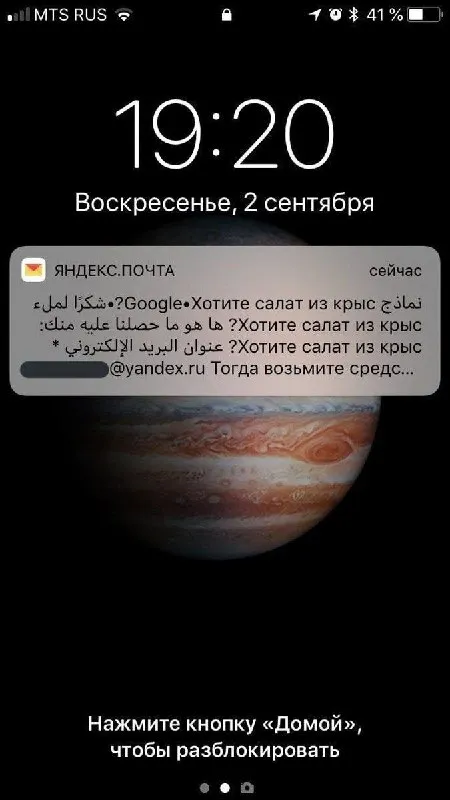 Хотите салат из крыс