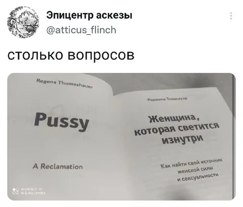 Столько вопросов про Pussy