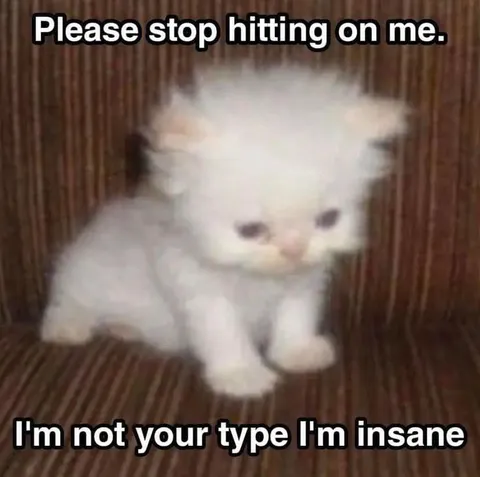 Please Stop Hitting on Me
