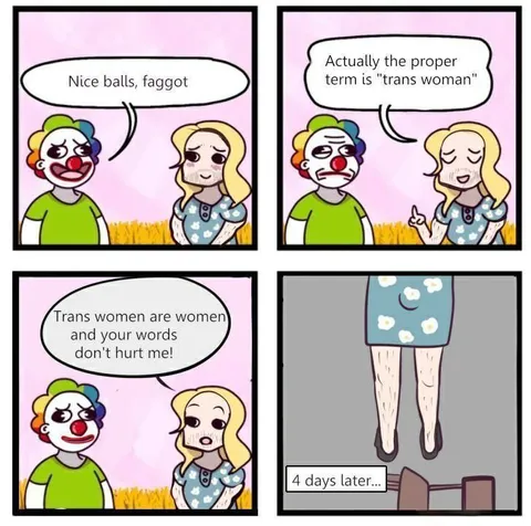 Four Days Later Trans Woman Comic