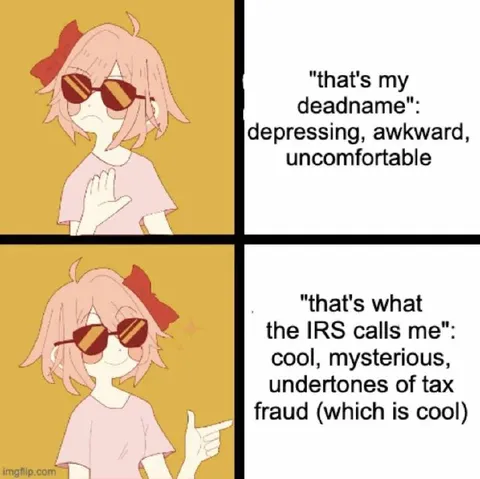 Deadname Versus Tax Fraud