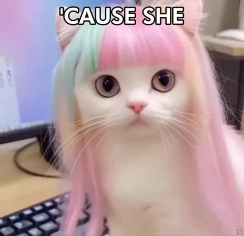 Cats Singing Paranoid