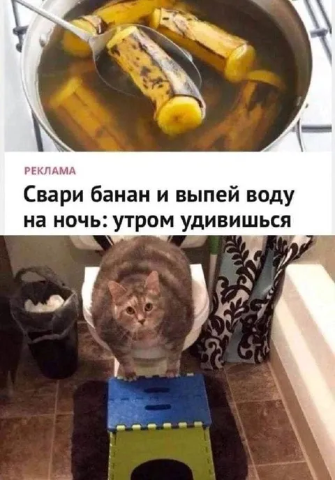 Кот удивился после банановой воды