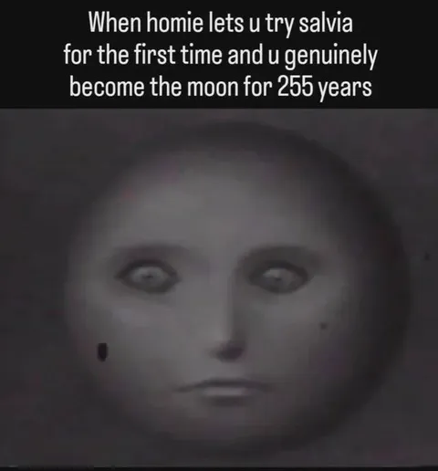 Salvia Turns You Into the Moon