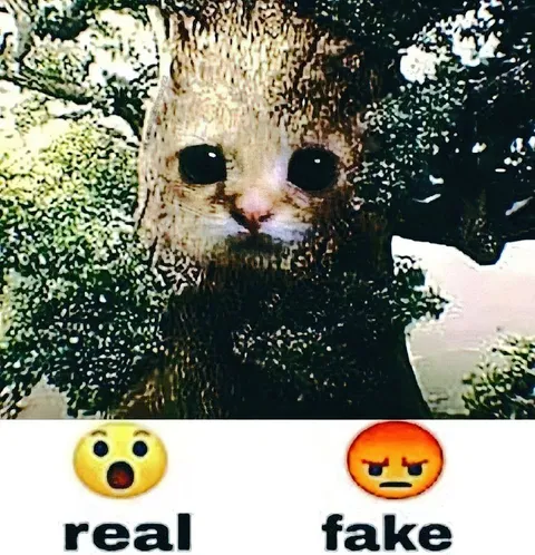 Real Cat or Fake Cat