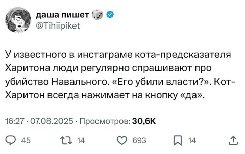 Кот-Харитон всегда отвечает да