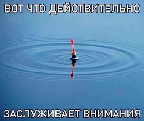 Вот что действительно заслуживает внимания