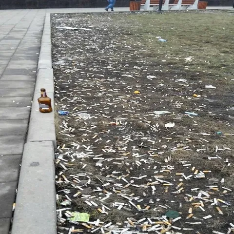 Табачная плантация в городе