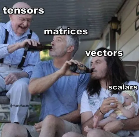 Tensors Matrices Vectors Scalars