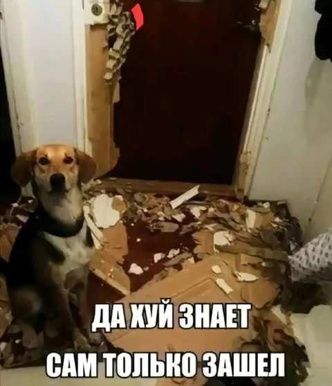 Да хуй знает, сам только зашел