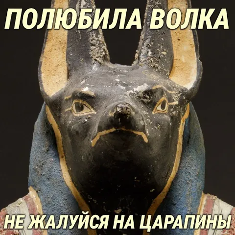 Анубис не жалуется на царапины