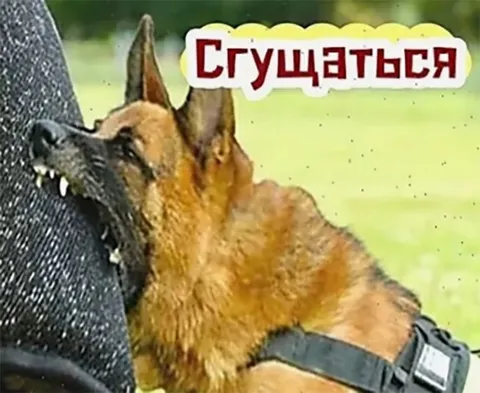 Сгущаться